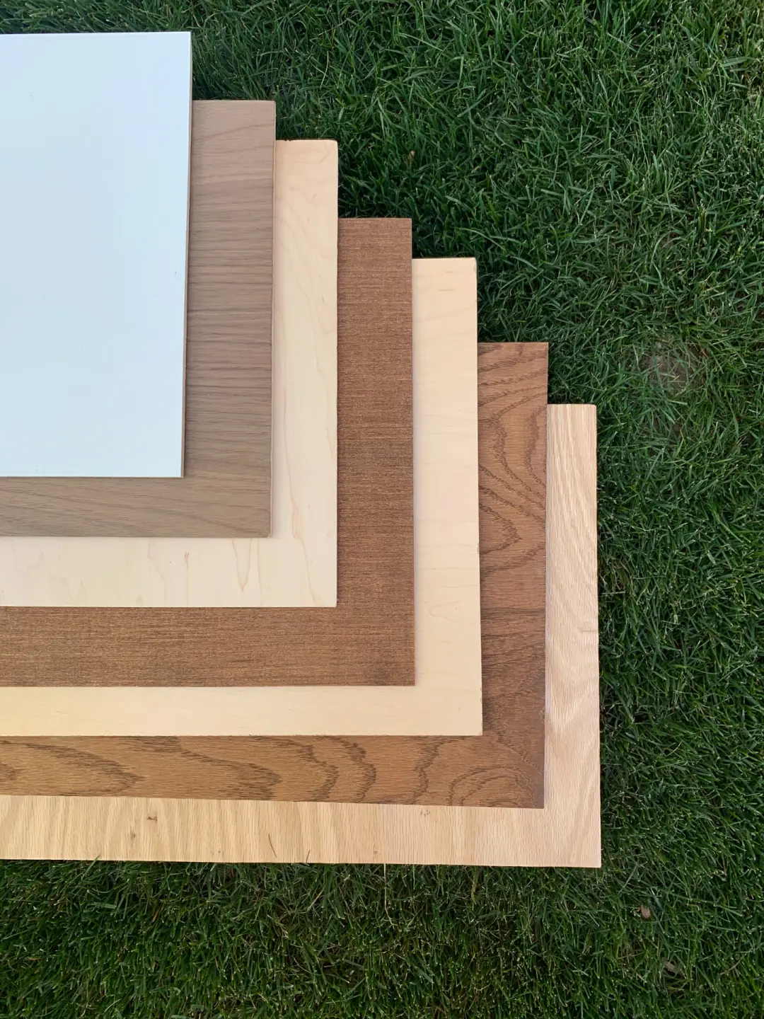 How Timber Is Used in Construction and Building