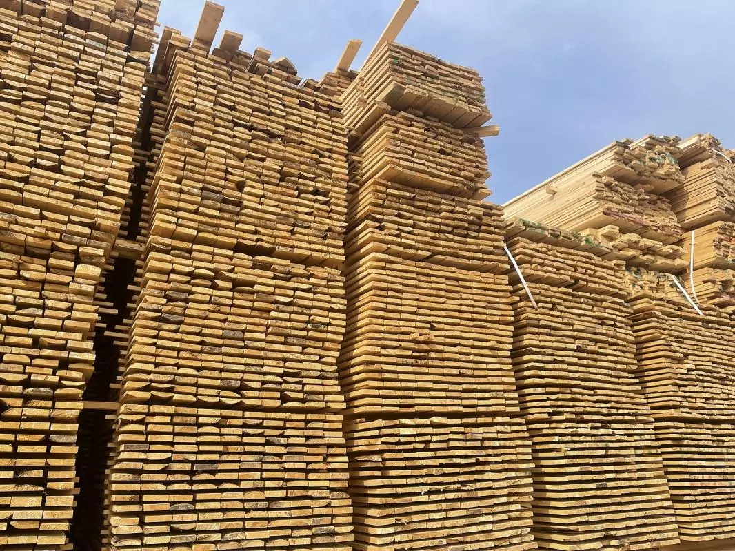 What Are The Methods For Cutting Wood