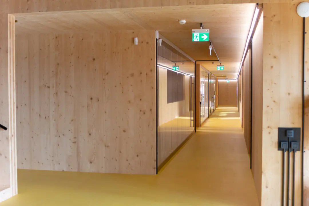 What Are Common Uses Of Plywood